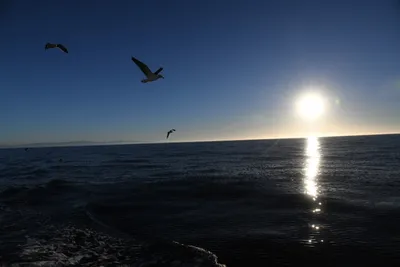 DSC_6691 (Large).JPG